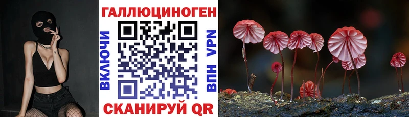 Псилоцибиновые грибы мицелий  Купить  Тимашёвск 